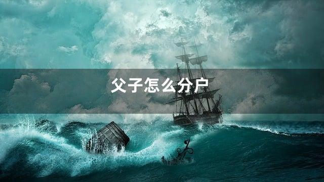 父子怎么分户