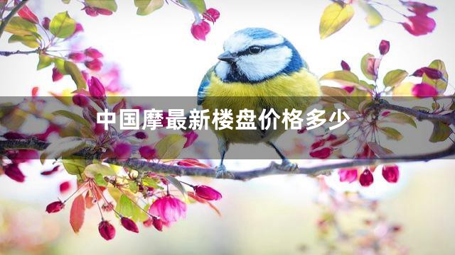 中国摩最新楼盘价格多少