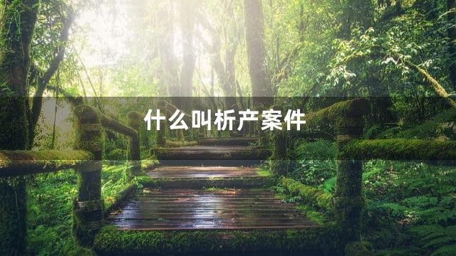 什么叫析产案件