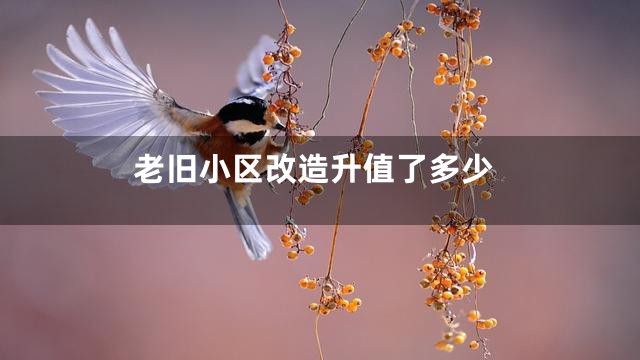 老旧小区改造升值了多少