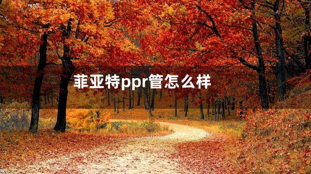 菲亚特ppr管怎么样