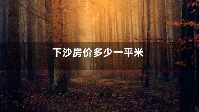 下沙房价多少一平米