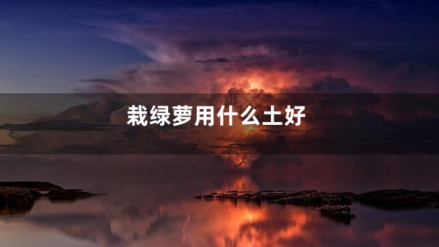 栽绿萝用什么土好