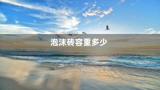 泡沫砖容重多少