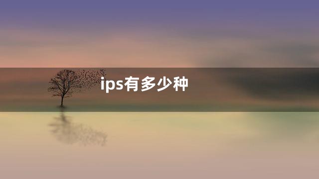 ips有多少种