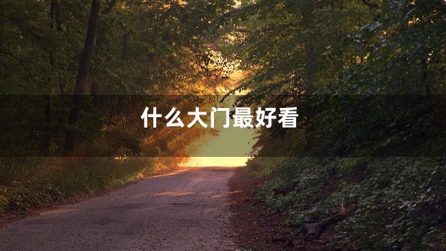什么大门最好看