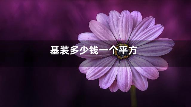基装多少钱一个平方