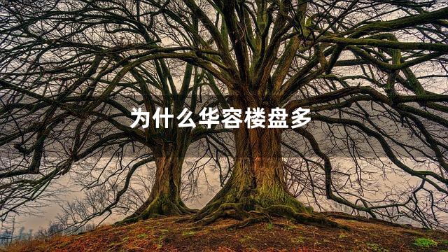 为什么华容楼盘多