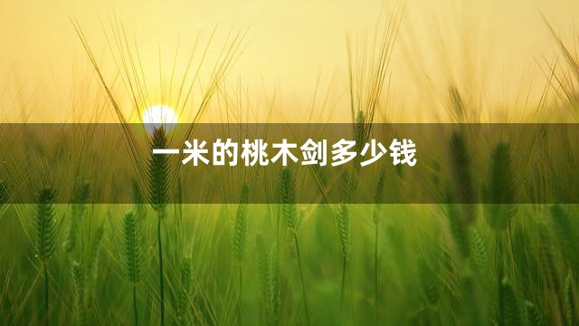 一米的桃木剑多少钱