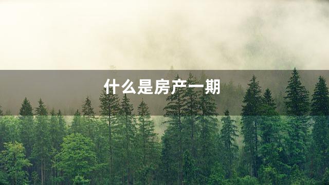 什么是房产一期