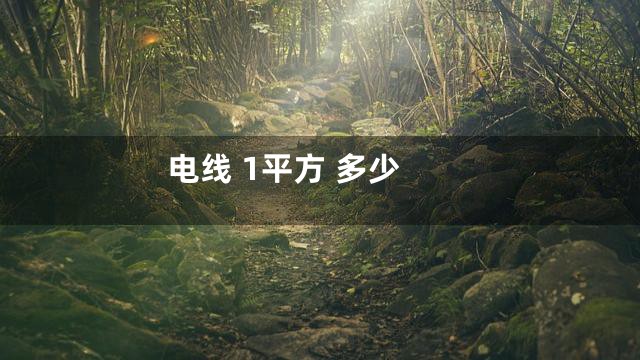 电线 1平方 多少