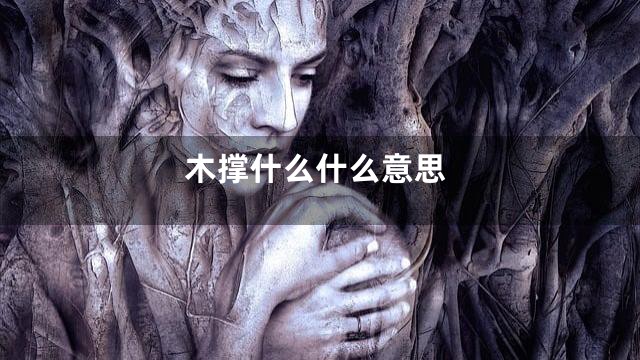木撑什么什么意思