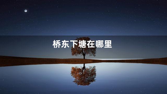桥东下塘在哪里