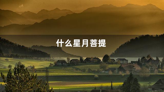 什么星月菩提