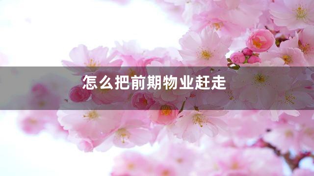 怎么把前期物业赶走