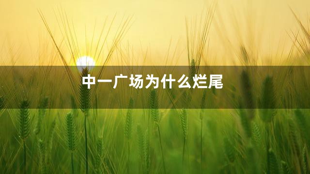 中一广场为什么烂尾