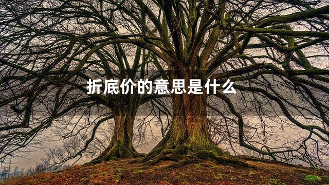 折底价的意思是什么