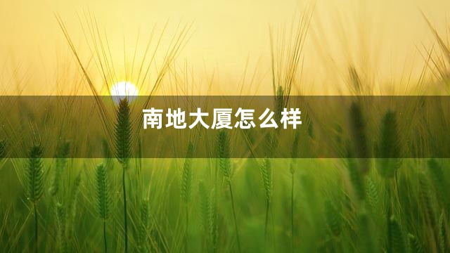 南地大厦怎么样