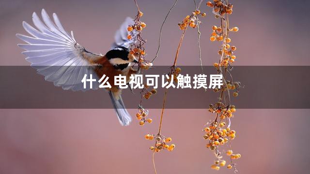 什么电视可以触摸屏