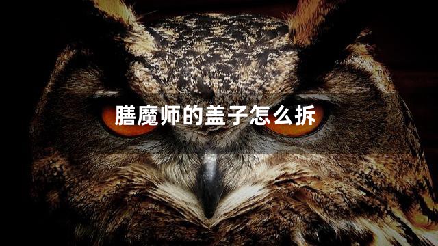 膳魔师的盖子怎么拆