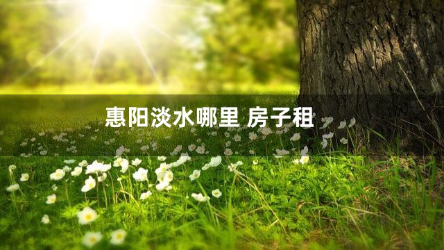 惠阳淡水哪里 房子租