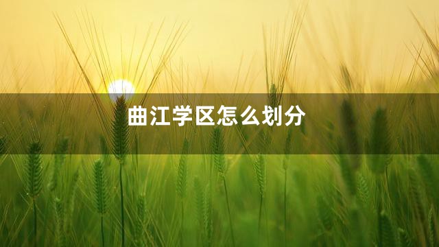 曲江学区怎么划分