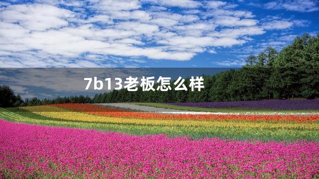 7b13老板怎么样