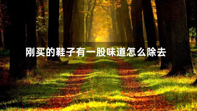 刚买的鞋子有一股味道怎么除去