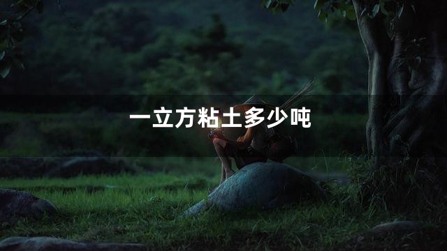 一立方粘土多少吨