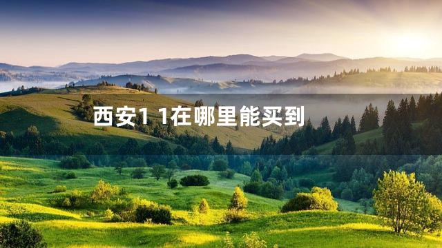 西安1 1在哪里能买到