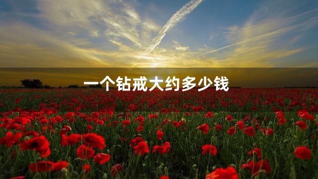 一个钻戒大约多少钱