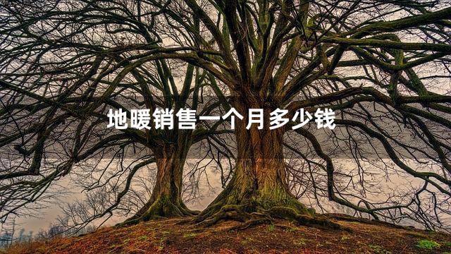 地暖销售一个月多少钱