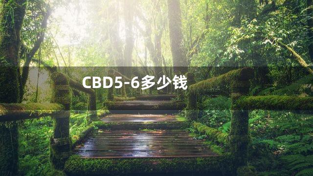 CBD5-6多少钱