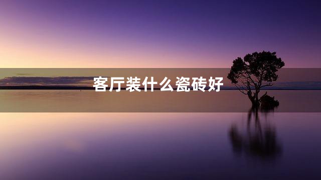 客厅装什么瓷砖好