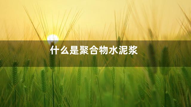 什么是聚合物水泥浆