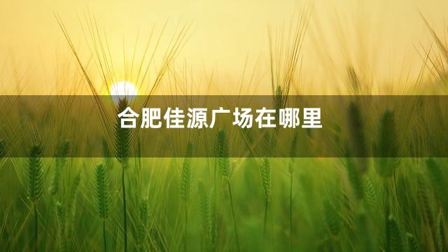 合肥佳源广场在哪里