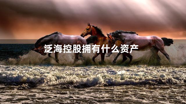 泛海控股拥有什么资产