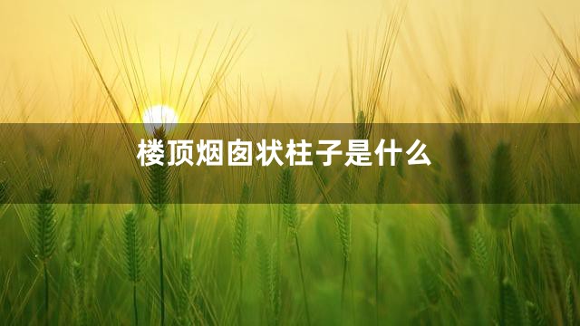 楼顶烟囱状柱子是什么