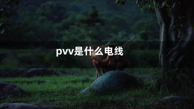 pvv是什么电线