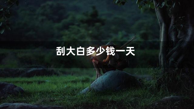 刮大白多少钱一天