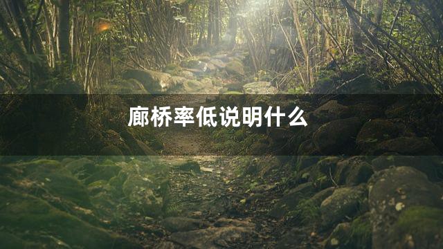 廊桥率低说明什么