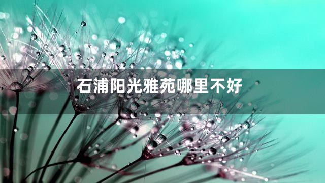 石浦阳光雅苑哪里不好