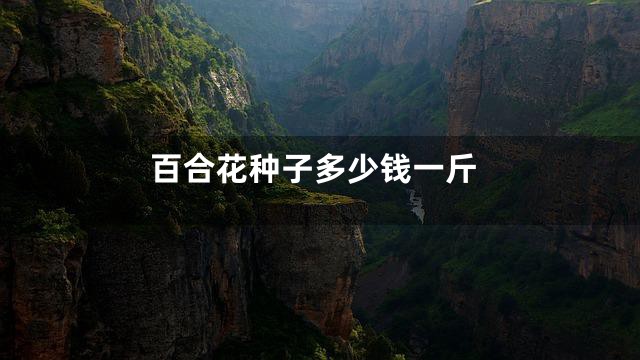 百合花种子多少钱一斤