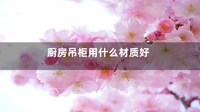 厨房吊柜用什么材质好