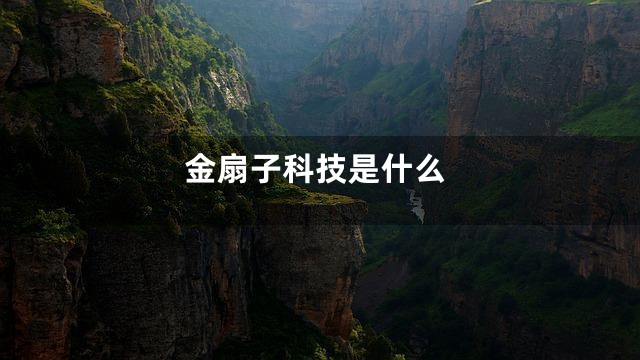 金扇子科技是什么