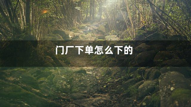 门厂下单怎么下的