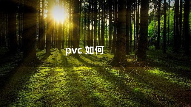 pvc 如何
