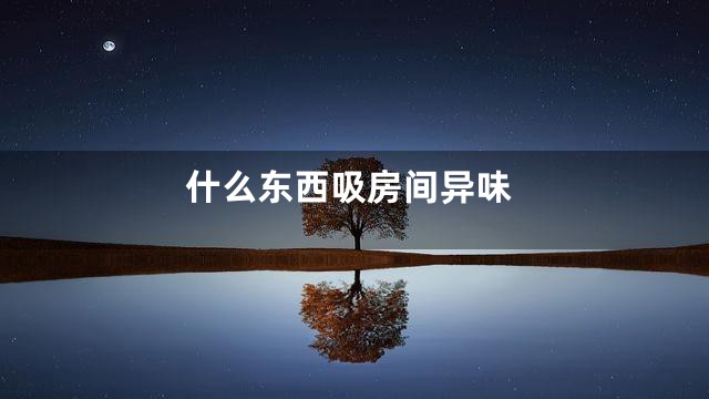 什么东西吸房间异味