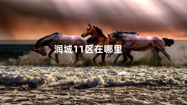 润城11区在哪里