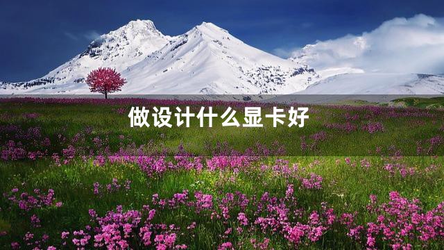 做设计什么显卡好